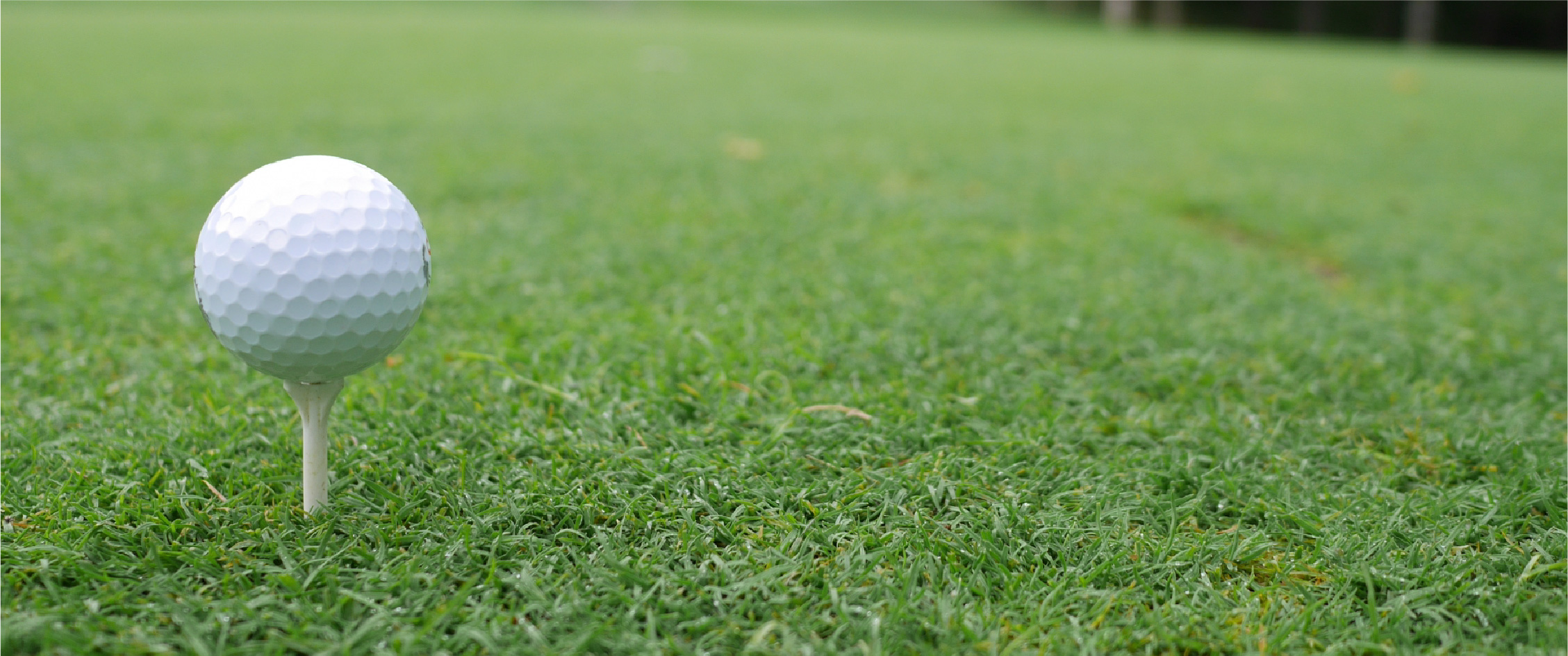 Golf Play Fee 料金のご案内